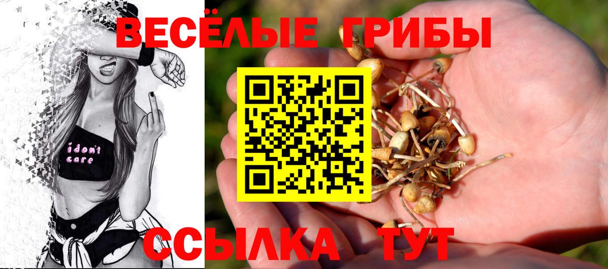 Псилоцибиновые грибы мухоморы Новокузнецк